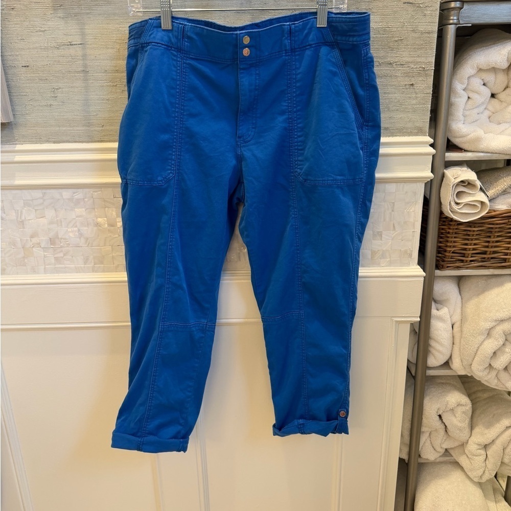 14S 14 short Whbm White House black market pret a pedi cropped pants lapis blue
